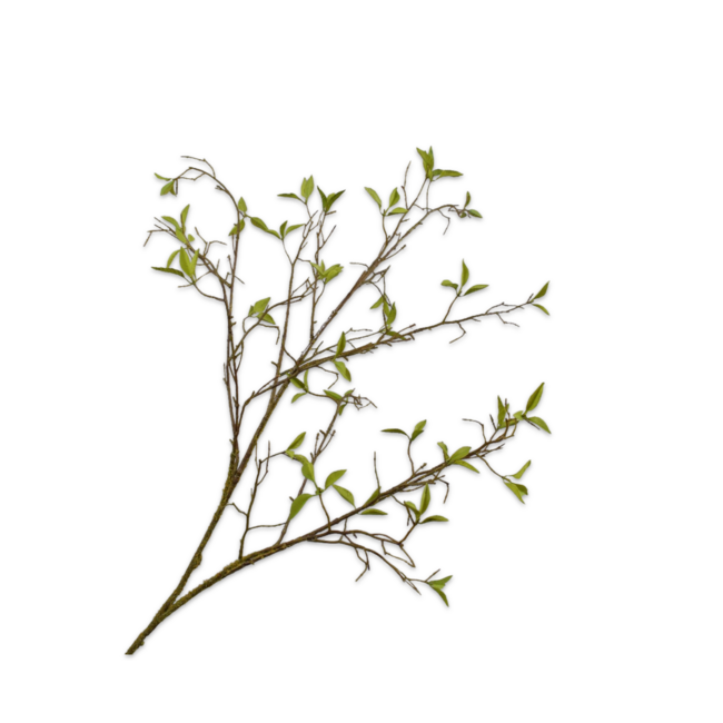 Silk-Ka WILGENTAK GROEN 107 cm