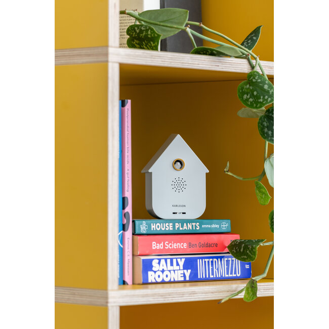 Present Time Sound Box Modern Cuckoo White