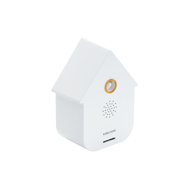 Present Time Sound Box Modern Cuckoo White