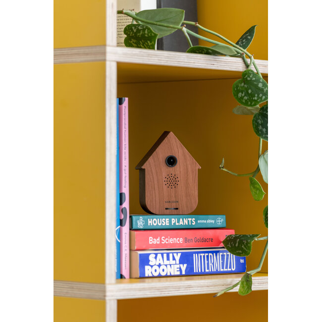 Present Time Sound box Modern Cuckoo dark wood