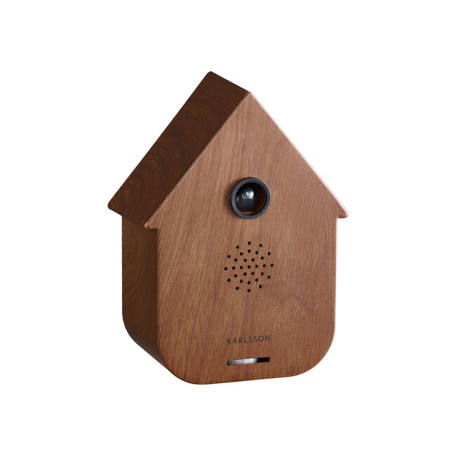 Present Time Sound box Modern Cuckoo dark wood