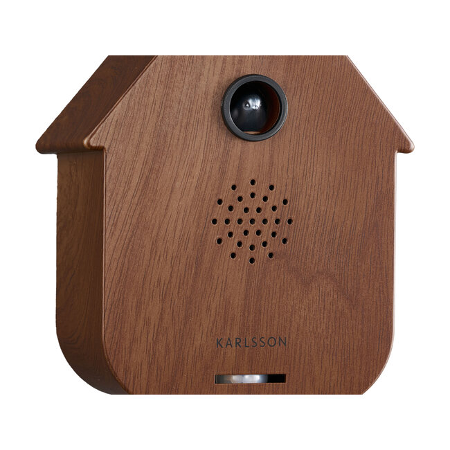 Present Time Sound box Modern Cuckoo dark wood