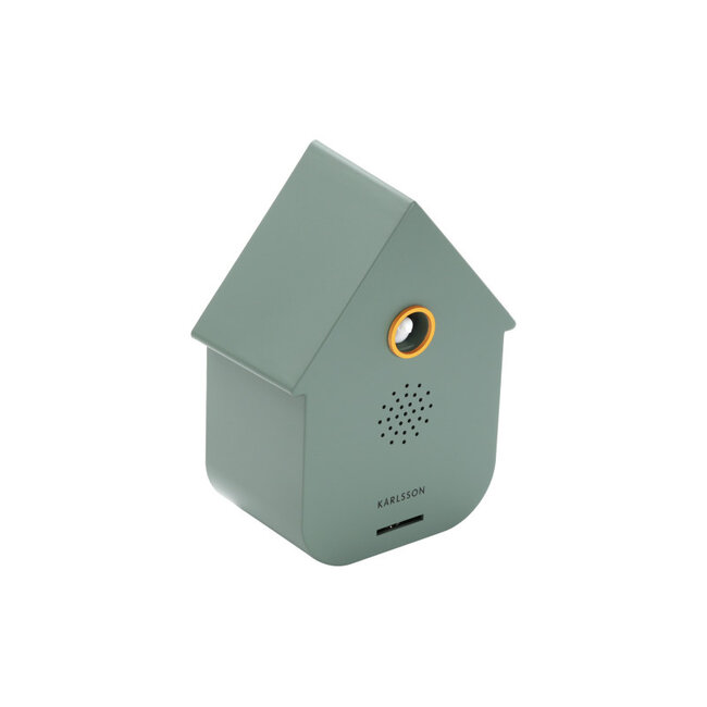 Present Time Sound box Modern Cuckoo jungle green