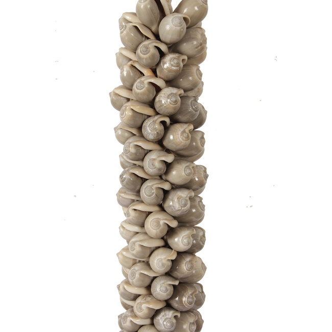 Pole to Pole Schelpenketting op voet 9,5x8,5x50 cm