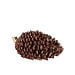 Decoratie Dennenappel Sia Brown 19x11x9cm