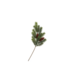 Silk Pine with Cone 48 cm