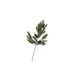 Silk Pine with Cone 64 cm