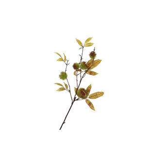 Silk Chestnut 97 cm