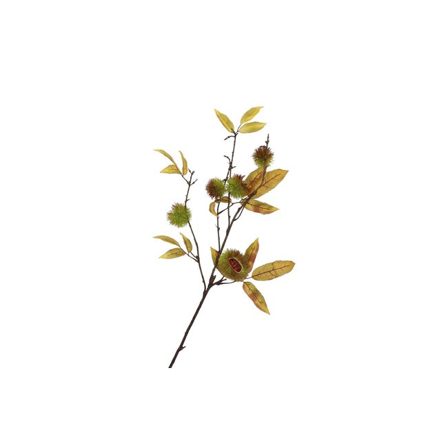Silk Chestnut 97 cm