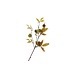 Silk Chestnut 97 cm