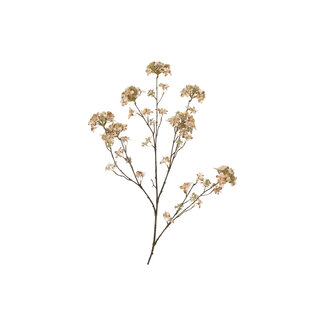 Zijden Hortensia Light Coffee