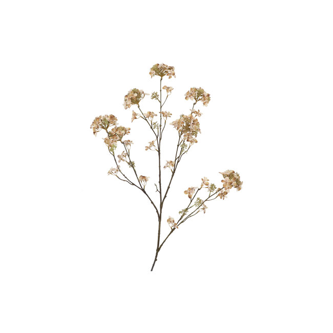 Zijden Hortensia Light Coffee