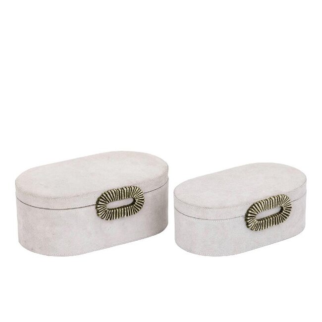 PTMD Hazael Beige suede box gold handle oval L