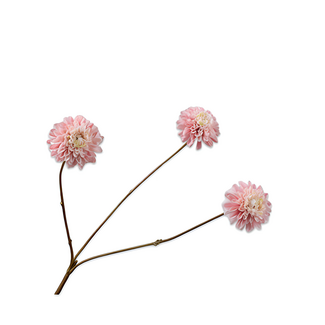 Silk-Ka DAHLIA TAK ROZ/CR 65 cm Silk-Ka DAHLIA TAK ROZ/CR 65 cm