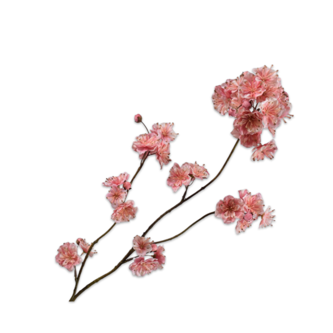 Silk-Ka BLOESEM TAK ROZE 84 cm