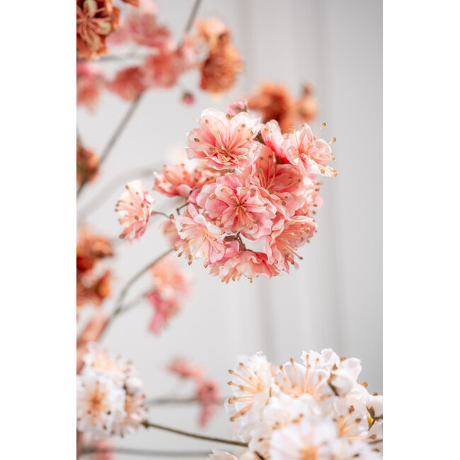 Silk-Ka BLOESEM TAK ROZE 84 cm