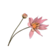 Silk-Ka DAHLIA TAK MAUVE 90 cm