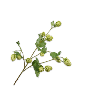 Silk-Ka HOP TAK GROEN 77 cm Silk-Ka HOP TAK GROEN 77 cm