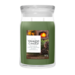 Yankee Candle NEW Balsam & Cedar Fireside Large Jar