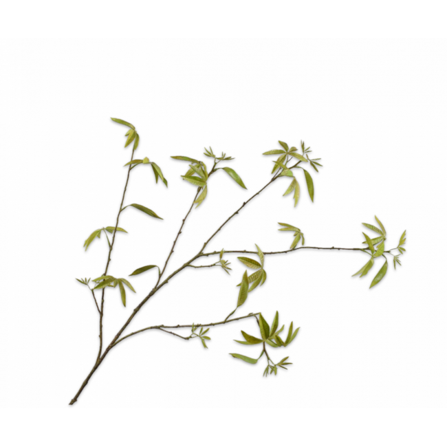 Silk-Ka ESDOORN TAK GROEN 126 cm
