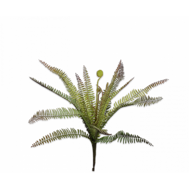 Silk-Ka VAREN BUSH GROEN 57 cm