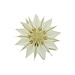 Home Society Lamp Paper Star Rod S LED