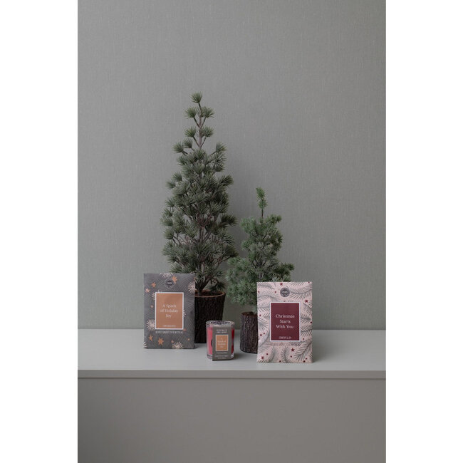 Home Society Geurzakje A Spark Of Holiday Joy
