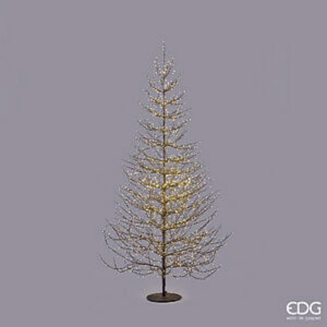 EDG Beech LED Tree Rich 2690 MicroLED H.210 – Black