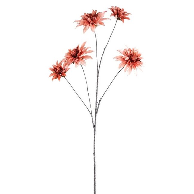 PTMD Dahlia Flower Peach 5 flower dahlia spray