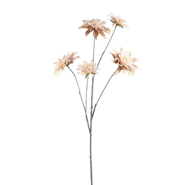 PTMD Dahlia Flower Beige 5 flower dahlia spray