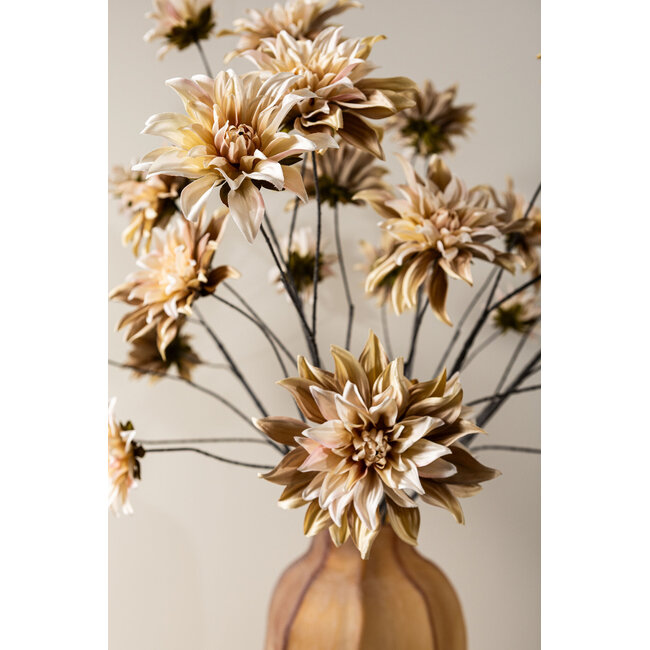 PTMD Dahlia Flower Beige 5 flower dahlia spray