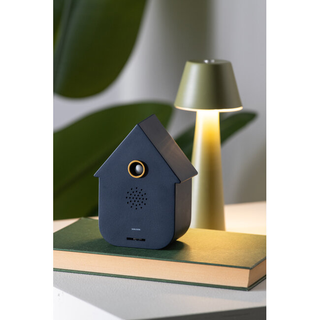 Present Time Sound box Modern Cuckoo Dark Blue