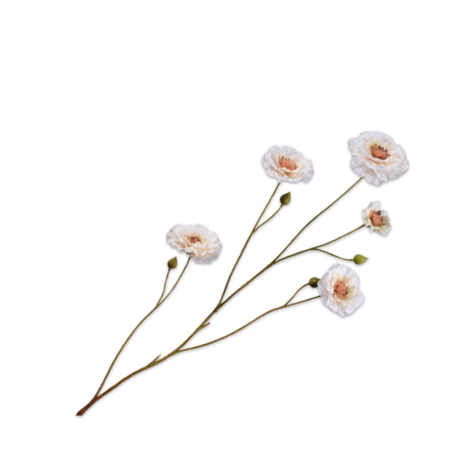 Silk-Ka RANONKEL TAK CREME 93 cm