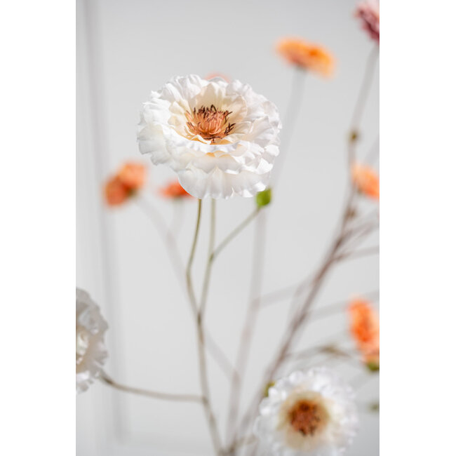 Silk-Ka RANONKEL TAK CREME 93 cm