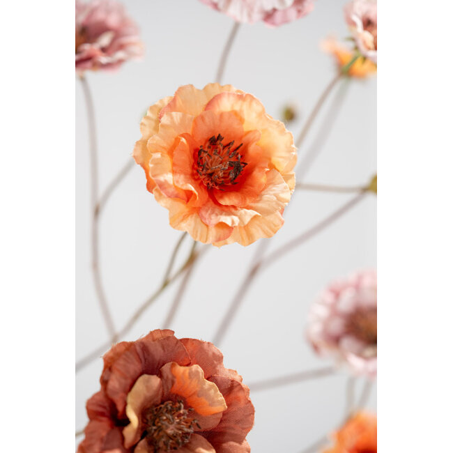Silk-Ka RANONKEL TAK PERZIK 93 cm