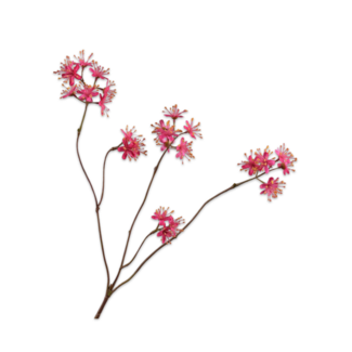 Silk-Ka CAPPARIS TAK FUCHSIA 74 cm