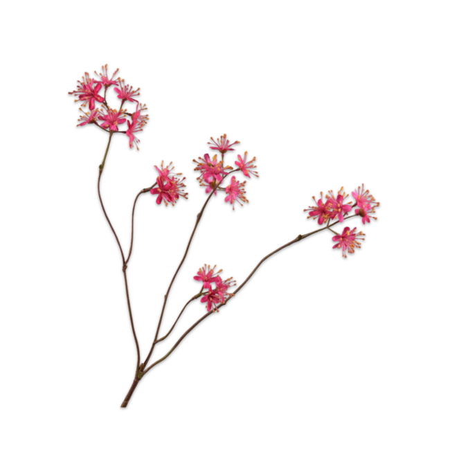 Silk-Ka CAPPARIS TAK FUCHSIA 74 cm