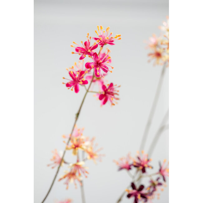 Silk-Ka CAPPARIS TAK FUCHSIA 74 cm