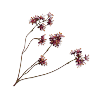 Silk-Ka CAPPARIS TAK BORDEAUX 74 cm