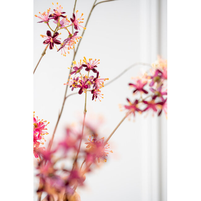 Silk-Ka CAPPARIS TAK BORDEAUX 74 cm