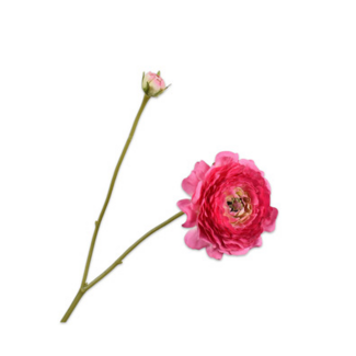 Silk-Ka RANONKEL TAK ROZE 60 cm