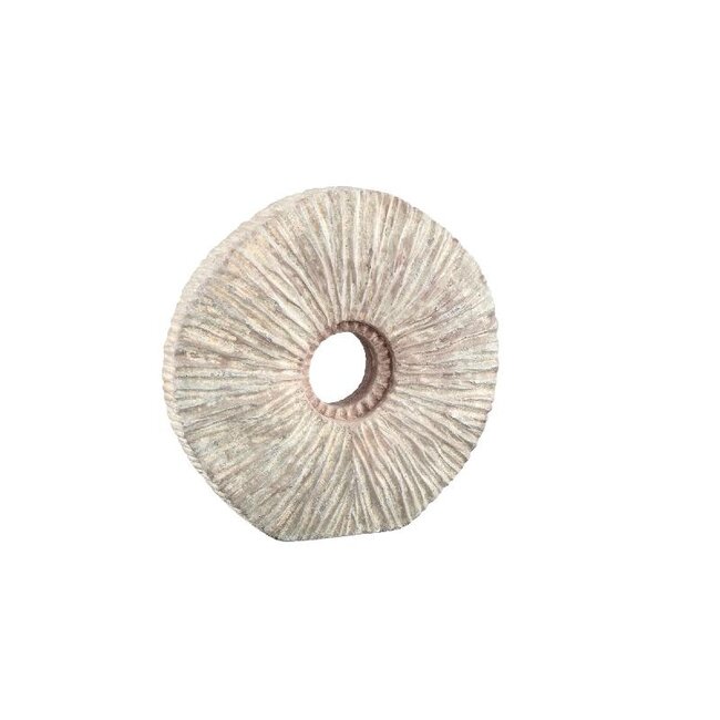 PTMD Kovi Beige cement ornament with ribbing round S