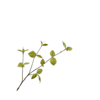 Silk-Ka BLADTAK GROEN 85 cm Silk-Ka BLADTAK GROEN 85 cm