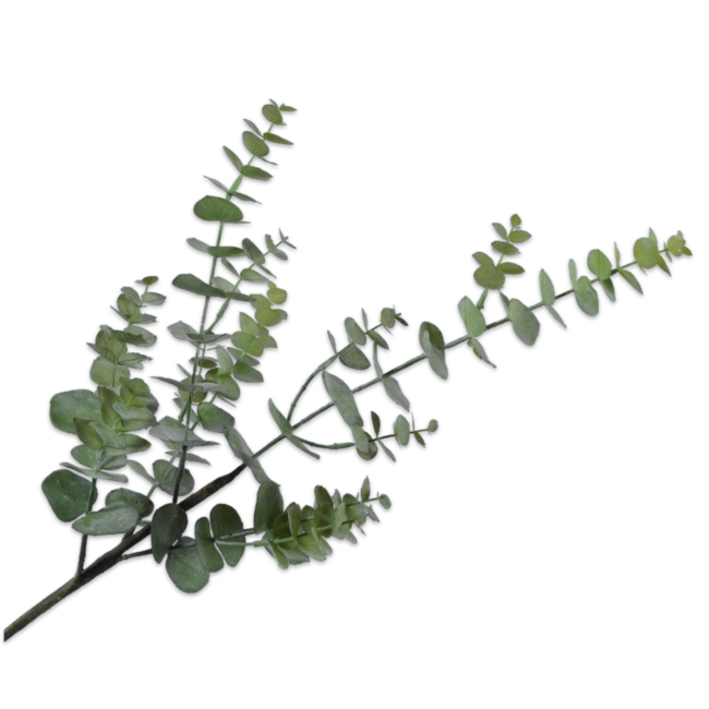 Silk-Ka EUCALYPTUS TAK GROEN 81 cm