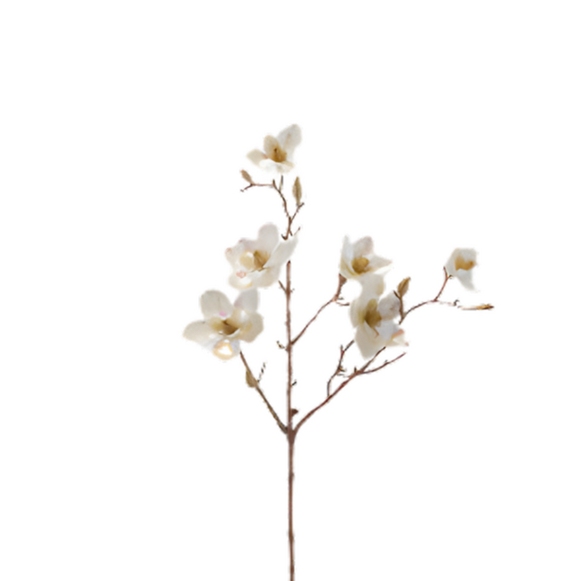 EDG Magnolia Glossy Ramo (Wit - 65 cm)