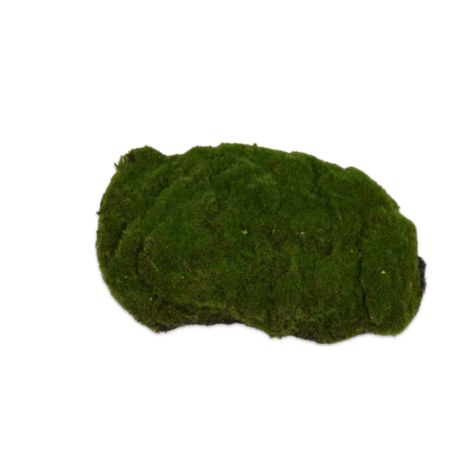 Silk-Ka MOS PLAG GROEN 33 cm