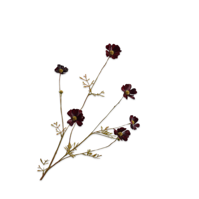 Silk-Ka COSMOS TAK BORDEAUX RT 77 cm