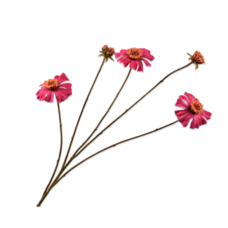 Silk-Ka ZINNIA TAK ROZE DK 89 cm Silk-Ka ZINNIA TAK ROZE DK 89 cm