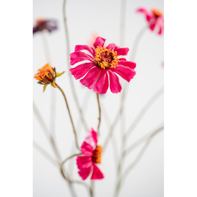 Silk-Ka ZINNIA TAK ROZE DK 89 cm