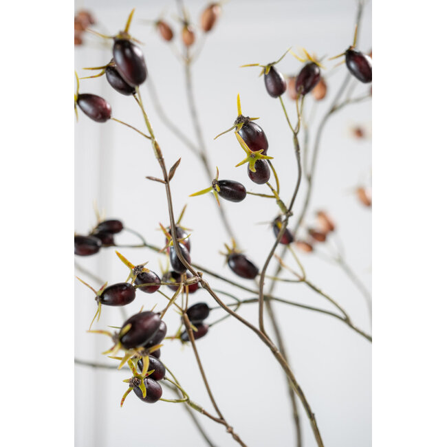 Silk-Ka ROZENBOTTEL TAK PAARS 96 cm